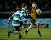 3 December 2016; Action from the Bank of Ireland Minis game between Gorey FC and Clondalkin RFC at the Guinness PRO12 Round 10 match between Leinster and Newport Gwent Dragons at the RDS Arena in Ballsbridge, Dublin. Photo by Seb Daly/Sportsfile