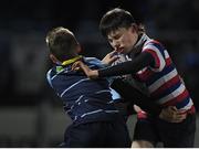 3 December 2016; Action from the Bank of Ireland Minis game between North Kildare RFC and Navan RFC at the Guinness PRO12 Round 10 match between Leinster and Newport Gwent Dragons at the RDS Arena in Ballsbridge, Dublin. Photo by Brendan Moran/Sportsfile