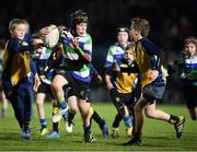 3 December 2016; Action from the Bank of Ireland Minis featuring Gorey RFC and Clondalkin RFC at the Guinness PRO12 Round 10 match between Leinster and Newport Gwent Dragons at the RDS Arena in Ballsbridge, Dublin. Photo by Stephen McCarthy/Sportsfile