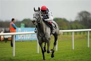 25 April 2011; Simonsig, with Mr Chris Cully up, on their way to winning the Irish Racing Post Champion Point-to-Point Flat Race. Fairyhouse Easter Festival, Fairyhouse Racecourse, Fairyhouse, Co. Meath. Picture credit: Ray McManus / SPORTSFILE