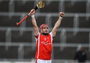 4 December 2016; David Treacy of Cuala celebrates at the end of the game AIB Leinster GAA Hurling Senior Club Championship Final match between O'Loughlin Gaels and Cuala at O'Moore Park in Portlaoise, Co Laois. Photo by David Maher/Sportsfile