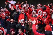 4 December 2016; Cuala supporters celebrate at the end of the game AIB Leinster GAA Hurling Senior Club Championship Final match between O'Loughlin Gaels and Cuala at O'Moore Park in Portlaoise, Co Laois. Photo by David Maher/Sportsfile