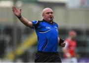 4 December 2016; Referee Michael Murtagh during the AIB Leinster GAA Hurling Senior Club Championship Final match between O'Loughlin Gaels and Cuala at O'Moore Park in Portlaoise, Co Laois. Photo by David Maher/Sportsfile