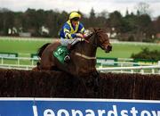 27 December 2001; I Can Imagine with Joseph Elliott up, jumps the last on their way to winning the Paddy Power Handicap Steeplechase on Day Two of the Leopardstown Christmas Festival at Leopardstown Racecourse in Dublin. Photo by Brian Lawless/Sportsfile