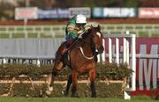 29 December 2001; Istabraq, with Charlie Swan up, jumps the last on their way to winning the Tote December Festival Hurdle on Day Four of the Leopardstown Christmas Festival at Leopardstown Racecourse in Dublin. Photo by Pat Murphy/Sportsfile