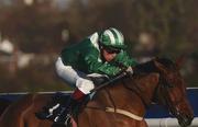 29 December 2001; Rule Supreme, with Charlie Swan up, on their way to winning the Agri-Aware Maiden Hurdle on Day Four of the Leopardstown Christmas Festival at Leopardstown Racecourse in Dublin. Photo by Pat Murphy/Sportsfile