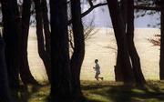 1 January 2002; A Competitor in action during the Oman Cup in the Phoenix Park in Dublin. Photo by Brendan Moran/Sportsfile