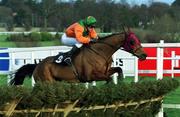 28 December 2001; Boss Doyle, with David Casey up, jumps the last during the woodiesdiy.com Christmas Hurdle on Day Three of the Leopardstown Christmas Festival at Leopardstown Racecourse in Dublin. Photo by Matt Browne/Sportsfile