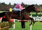 28 December 2001; One Night Out, with Ruby Walsh up, jumps the last during the O'Dwyers Stillorgan Orchard Novice Hurdle on Day Three of the Leopardstown Christmas Festival at Leopardstown Racecourse in Dublin. Photo by Matt Browne/Sportsfile