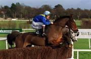 28 December 2001; Silver Steel, with Alan Crowe up, jumps the last, first time round, during the William Neville & Sons Novice Steeplechase on Day Three of the Leopardstown Christmas Festival at Leopardstown Racecourse in Dublin. Photo by Matt Browne/Sportsfile