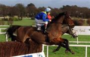28 December 2001; Silver Steel, with Alan Crowe up, jumps the last, first time round, during the William Neville & Sons Novice Steeplechase on Day Three of the Leopardstown Christmas Festival at Leopardstown Racecourse in Dublin. Photo by Matt Browne/Sportsfile