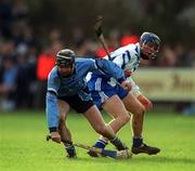 6 January 2002; Shane Martin of Dublin in action against Liam Ryan of Blue Stars during the 2002 Hurling Blue Stars Exibition Game between Blue Stars and Dublin at Thomas Davis GAA Club in Tallaght, Dublin. Photo by Ray McManus/Sportsfile