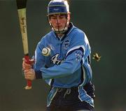 6 January 2002; Kevin Flynn of Dublin during the 2002 Hurling Blue Stars Exibition Game between Blue Stars and Dublin at Thomas Davis GAA Club in Tallaght, Dublin. Photo by Ray McManus/Sportsfile