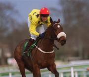 27 December 2001; Acolyte, with Adrian Lane up during the Paddy Power Festival 3-Y-O Hurdle on Day Two of the Leopardstown Christmas Festival at Leopardstown Racecourse in Dublin. Photo by Damien Eagers/Sportsfile