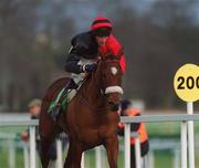 27 December 2001; La Golondrina, with Tom Rudd up, during the Paddy Power Festival 3-Y-O Hurdle on Day Two of the Leopardstown Christmas Festival at Leopardstown Racecourse in Dublin. Photo by Damien Eagers/Sportsfile
