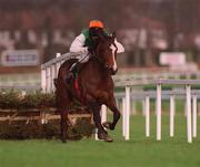 27 December 2001; Turtleback, with Barry Geraghty up, on their way to winning the Paddy Power Festival 3-Y-O Hurdle on Day Two of the Leopardstown Christmas Festival at Leopardstown Racecourse in Dublin. Photo by Damien Eagers/Sportsfile