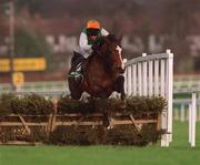 27 December 2001; Turtleback, with Barry Geraghty up, jumps the last on their way to winning the Paddy Power Festival 3-Y-O Hurdle on Day Two of the Leopardstown Christmas Festival at Leopardstown Racecourse in Dublin. Photo by Damien Eagers/Sportsfile