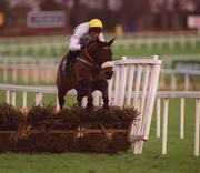 27 December 2001; Native Estates, with Ian Power up, jumps the last during the paddypower.com Handicap Hurdle on Day Two of the Leopardstown Christmas Festival at Leopardstown Racecourse in Dublin. Photo by Damien Eagers/Sportsfile