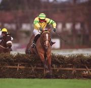 27 December 2001; Make my day, with Gary Hutchinson up, jumps the last on the way to finishing second in the paddypower.com Handicap Hurdle on Day Two of the Leopardstown Christmas Festival at Leopardstown Racecourse in Dublin. Photo by Damien Eagers/Sportsfile