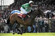 3 May 2011; Outlaw Pete, with John Thomas McNamara up, crosses the finish line to win the Kildare Hunt Club Fr Sean Breen Memorial Steeplechase for the Ladies Perpetual Cup. Punchestown Irish National Hunt Festival 2011, Punchestown, Co. Kildare. Picture credit: Barry Cregg / SPORTSFILE