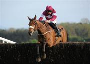 3 May 2011; Quito DeLa Roque, with Davy Russell up, jumps the last on their way to winning the Growise Champion Novice Steeplechase. Punchestown Irish National Hunt Festival 2011, Punchestown, Co. Kildare. Picture credit: Barry Cregg / SPORTSFILE