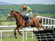 5 May 2011; Tornedo Shay, with Phillip Enright up, jump the last on their way to winning the AON Hurdle. Punchestown Irish National Hunt Festival 2011, Punchestown, Co. Kildare. Picture credit: Barry Cregg / SPORTSFILE