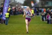 11 December 2016; Abigail Taylor, Dundrum South Dublin A.C, on her way to winning the Girls U17 4000m race during the Irish Life Health Novice & Juvenile Uneven Age National Cross Country Championships at Dundalk I.T. in Co. Louth. Photo by Seb Daly/Sportsfile