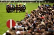 28 July 2016; A general view of the field in the Guinness Dublin Porter Beginners Steeplechase at the Galway Races in Ballybrit, Co Galway. Photo by Cody Glenn/Sportsfile