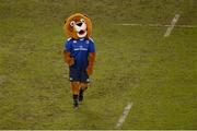 17 December 2016; Leinster mascot Leo The Lion after the European Rugby Champions Cup Pool 4 Round 4 match between Leinster and Northampton Saints at the Aviva Stadium, Dublin. Photo by Piaras Ó Mídheach/Sportsfile