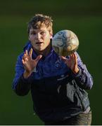 21 December 2016; Tyler Bleyendaal of Munster in action during squad training at the University of Limerick in Limerick. Photo by Diarmuid Greene/Sportsfile
