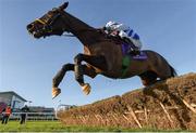 26 December 2016; Joey Sasa, with Sean Flanagan up, jumps the last on their way to winning the Thorntons Recycling Maiden Hurdle during day one of the Leopardstown Christmas Festival in Leopardstown, Dublin. Photo by Seb Daly/Sportsfile