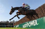 26 December 2016; Min, with Ruby Walsh up, jumps the last on their way to winning the Racing Post Novice Steeplechase during day one of the Leopardstown Christmas Festival in Leopardstown, Dublin. Photo by Seb Daly/Sportsfile