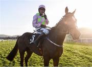 26 December 2016; Ruby Walsh celebrates on Min, after winning the Racing Post Novice Steeplechase during day one of the Leopardstown Christmas Festival  in Leopardstown, Dublin.  Photo by Matt Browne/Sportsfile