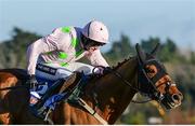28 December 2016; Montalbano, with Ruby Walsh up, on their way to winning the At The Races Maiden Hurdle during day three of the Leopardstown Christmas Festival in Leopardstown, Dublin. Photo by Seb Daly/Sportsfile