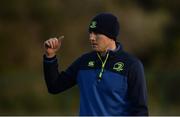 27 December 2016; Leinster backs coach Girvan Dempsey during squad training at Thornfields in UCD, Dublin. Photo by Piaras Ó Mídheach/Sportsfile