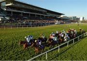28 December 2016; A view of the field during the first time round during the Pertempts Network Handicap Hurdle Hurdle during day three of the Leopardstown Christmas Festival in Leopardstown, Dublin. Photo by Cody Glenn/Sportsfile