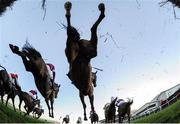 28 December 2016; A general view of the field as they jump the fourth during the Lexus Steeplechase during day three of the Leopardstown Christmas Festival in Leopardstown, Dublin. Photo by Seb Daly/Sportsfile