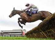 29 December 2016; Let's Dance, with Ruby Walsh up, jumps the last on their way to winning The Willis Towers Watson European Breeders Fund Mares Hurdle during day four of the Leopardstown Christmas Festival in Leopardstown, Dublin. Photo by Cody Glenn/Sportsfile