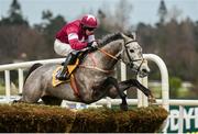 29 December 2016; Petit Mouchoir, with Bryan Cooper up,  jump the last on their way to winning The Ryanair Hurdle during day four of the Leopardstown Christmas Festival in Leopardstown, Dublin. Photo by Cody Glenn/Sportsfile
