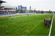 29 December 2016; (EDITOR'S NOTE; A variable planed lens was used in the creation of this image) A general view of the field during the Donohoe Marquees Flat Race during day four of the Leopardstown Christmas Festival in Leopardstown, Dublin. Photo by Eóin Noonan/Sportsfile