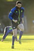 2 January 2017; Barry Daly of Leinster during squad training at UCD in Dublin. Photo by Ramsey Cardy/Sportsfile