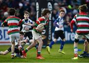 31 December 2016; Action from the Bank of Ireland half-time game between Bective Rangers and Edenderry RFC at the Guinness PRO12 Round 12 match between Leinster and Ulster at the RDS Arena in Ballsbridge, Dublin. Photo by Piaras Ó Mídheach/Sportsfile