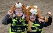 31 December 2016; Leinster supporters and brothers Jason Harper, left, and 7, and Sam Harper, age 5, from Kilkenny ahead of the Guinness PRO12 Round 12 match between Leinster and Ulster at the RDS Arena in Dublin. Photo by Piaras Ó Mídheach/Sportsfile
