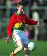 20 January 2002; Brian Kelly of Carlow during the O'Byrne Cup final match between Carlow and Wicklow at Dr Cullen Park in Carlow. Photo by Damien Eagers/Sportsfile