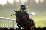 24 January 2002; Be My Belle, with Tommy Treacy up, clears the last to win the Hacketts Bookmakers fighting Blindness Hurdle during racing at Gowran Park, Kilkenny. Photo by David Maher/Sportsfile