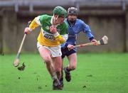 27 January 2002; David Moran of Offaly during the Walsh Cup Quarter Final match between Offaly and Dublin at Parnell Park in Dublin. Photo by Damien Eagers/Sportsfile