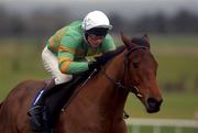 12 January 2002; Younevertoldme with Robert Power up, during The European Breeders Fund Beginners Steeplechase at Navan Racecourse in Meath. Photo by Damien Eagers/Sportsfile
