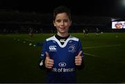 6 January 2017; Leinster match day mascot James Wallace, from Templeogue, Dublin, at the Guinness PRO12 Round 13 match between Leinster v Zebre at the RDS Arena in Ballsbridge, Dublin.  Photo by Stephen McCarthy/Sportsfile