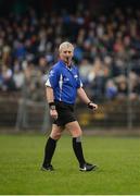 8 January 2017; Referee Johnny Ryan during the Co-Op Superstores Munster Senior Hurling League First Round match between Waterford and Limerick at Fraher Field in Dungarvan, Co. Waterford. Photo by Piaras Ó Mídheach/Sportsfile