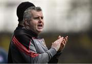 8 January 2017; Mayo manager Stephen Rochford during the Connacht FBD League Section A Round 1 match between Mayo and NUI Galway at Elvery's MacHale Park in Castlebar, Co. Mayo.  Photo by David Maher/Sportsfile